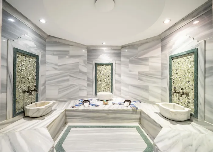 Отель The Palace Taksim 4*